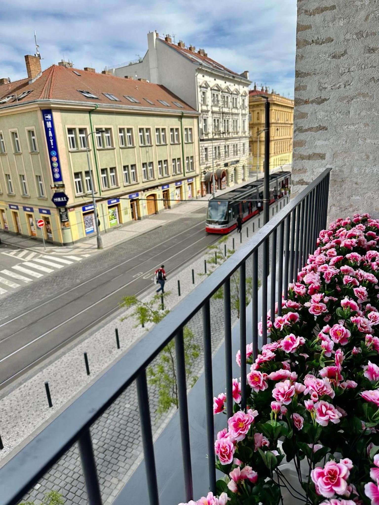 Sunny Apartment in Smichov, Prague 5