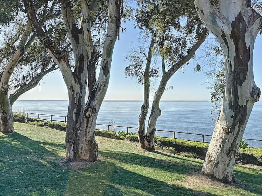 Apartment Estepona luxury Beach