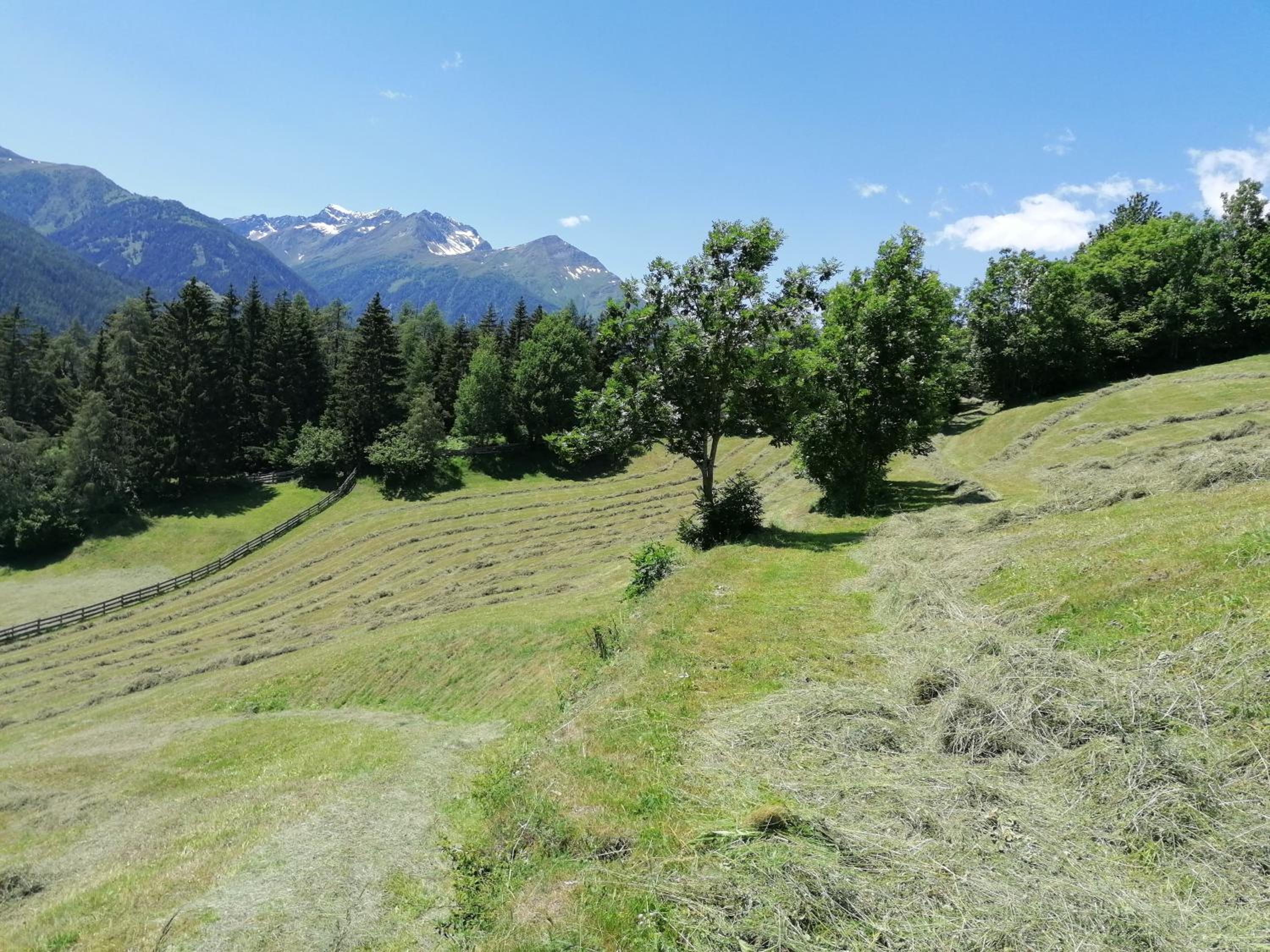 Ferienhaus Innerkienzerhof - Urlaub am Bauernhof