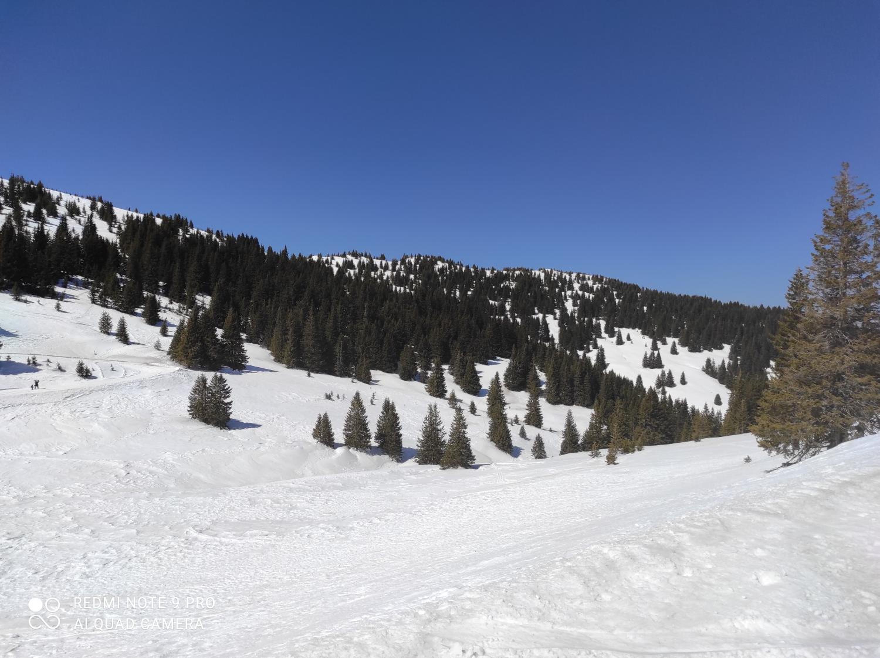 Panorama Stoykite Eurydice