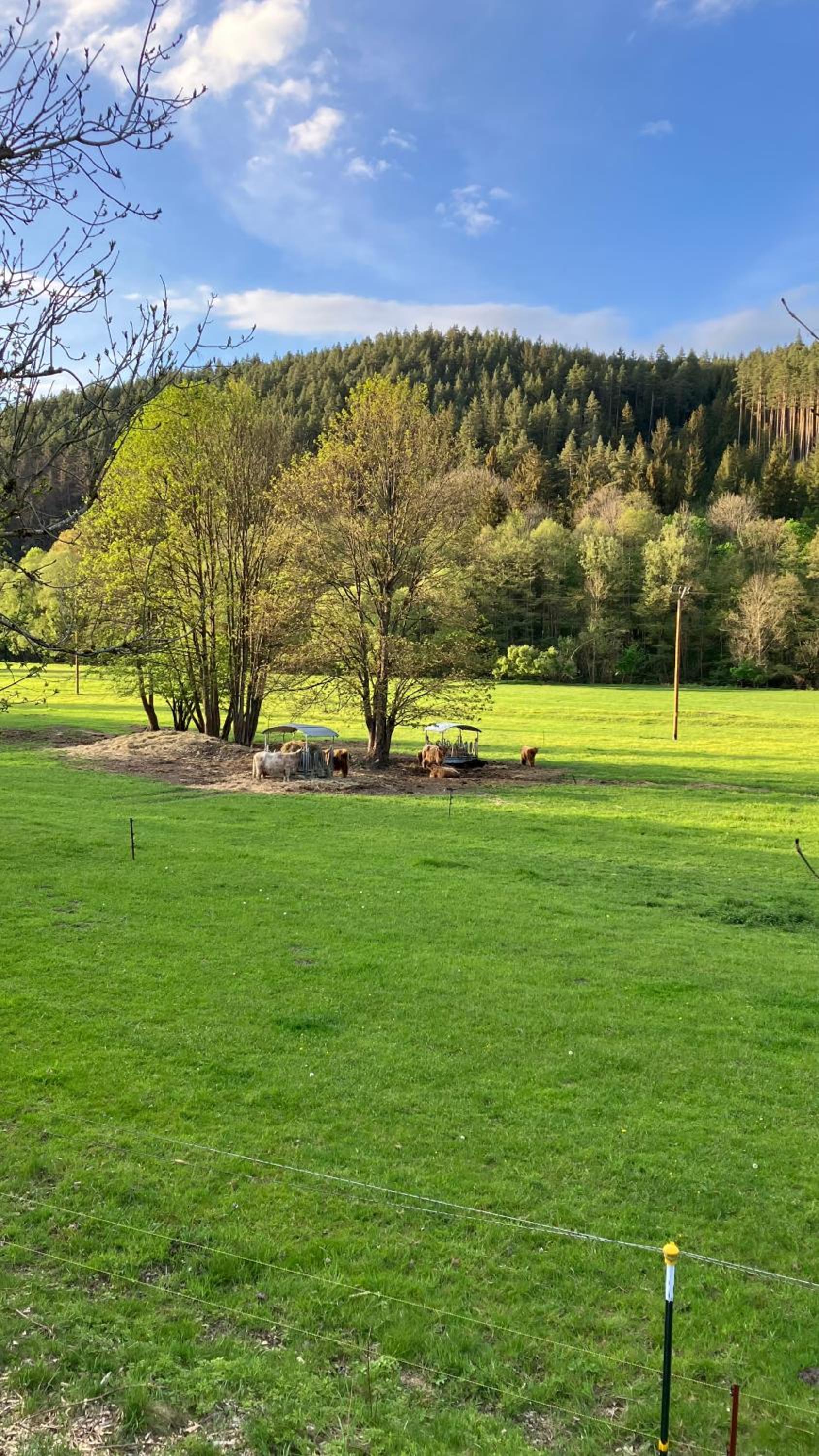 FeWo Obstfelderschmiede
