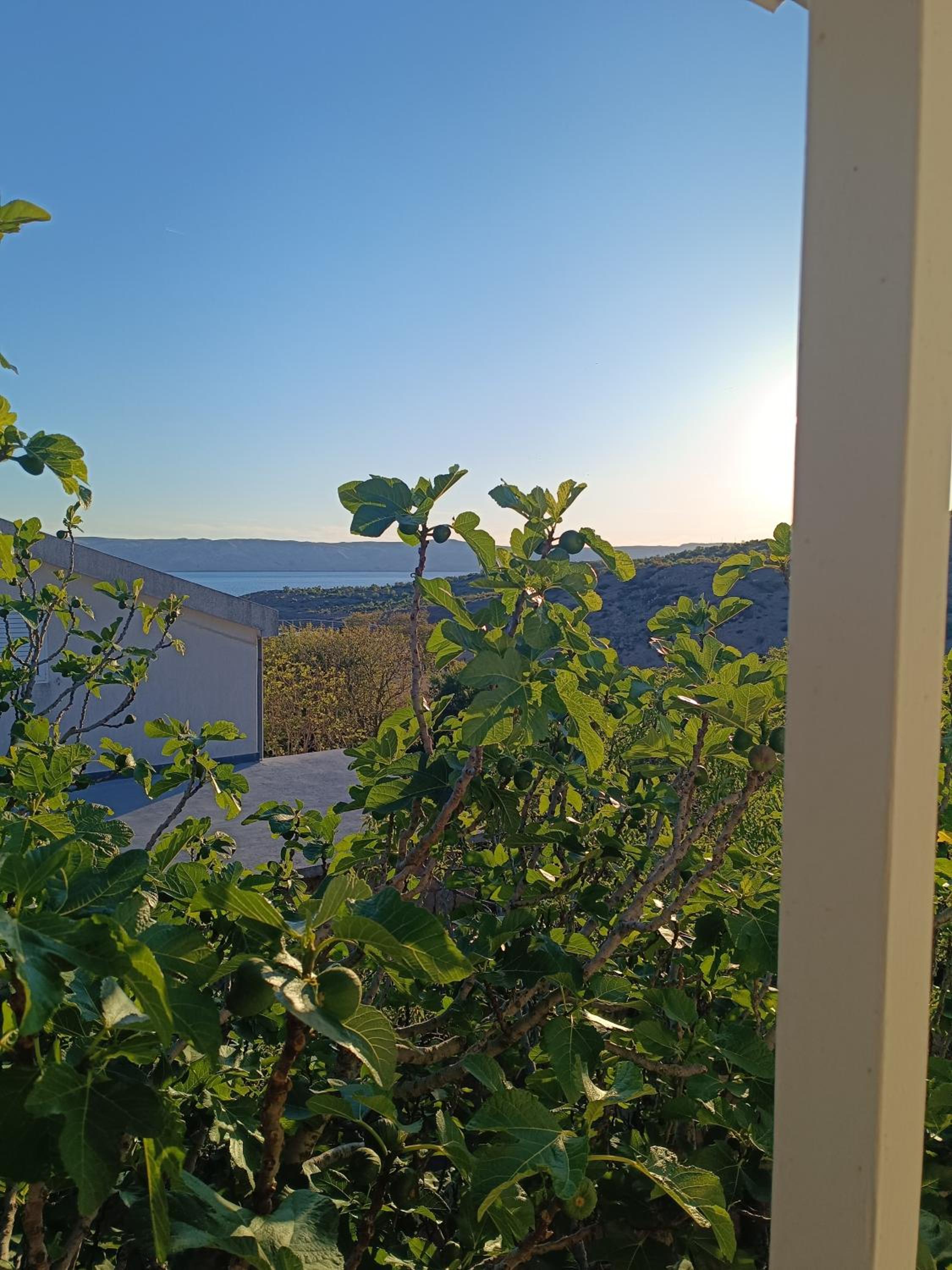 Villa Alexa Cesarica