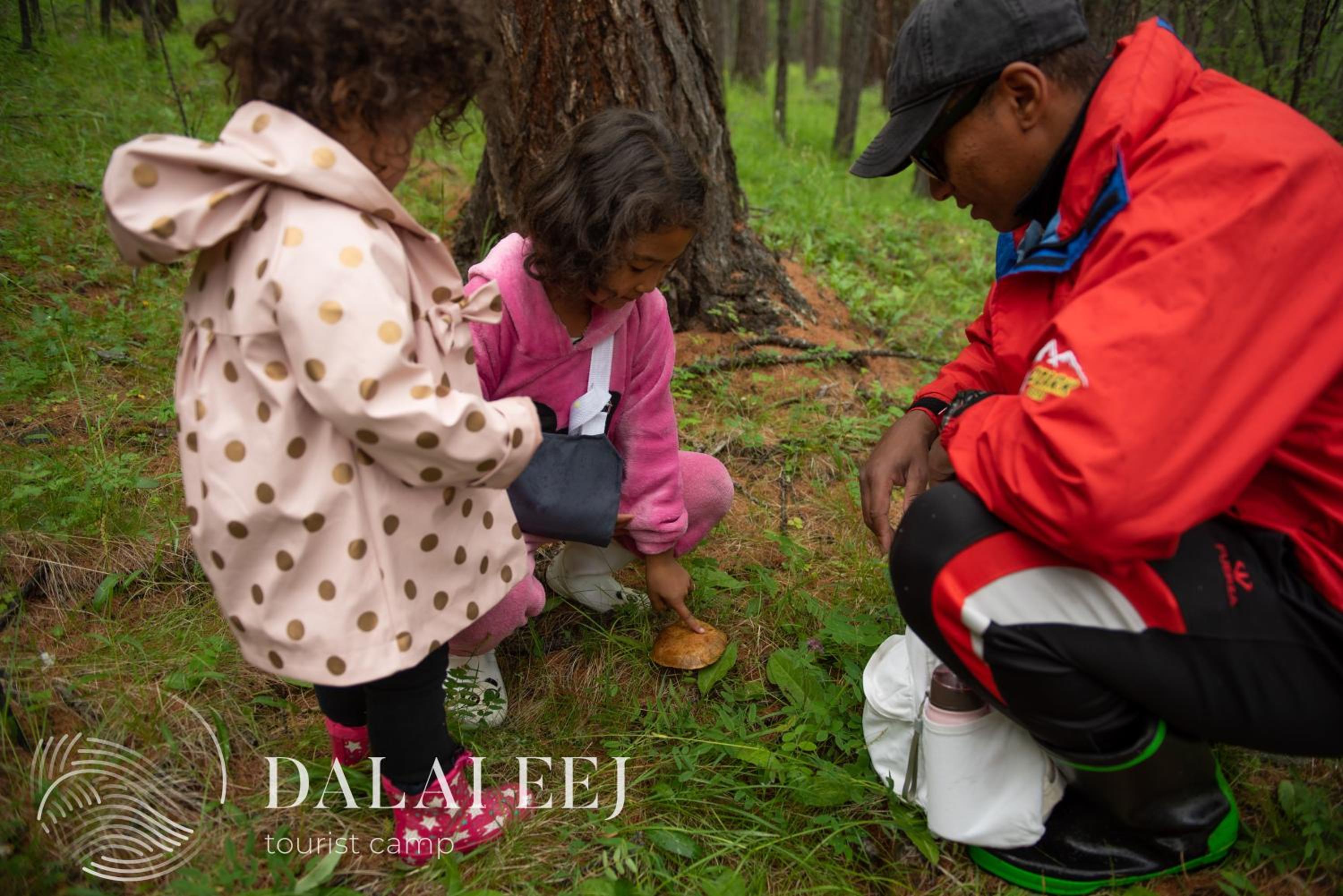 Dalai Eej Resort - Khuvsgul Lake National Park view 4