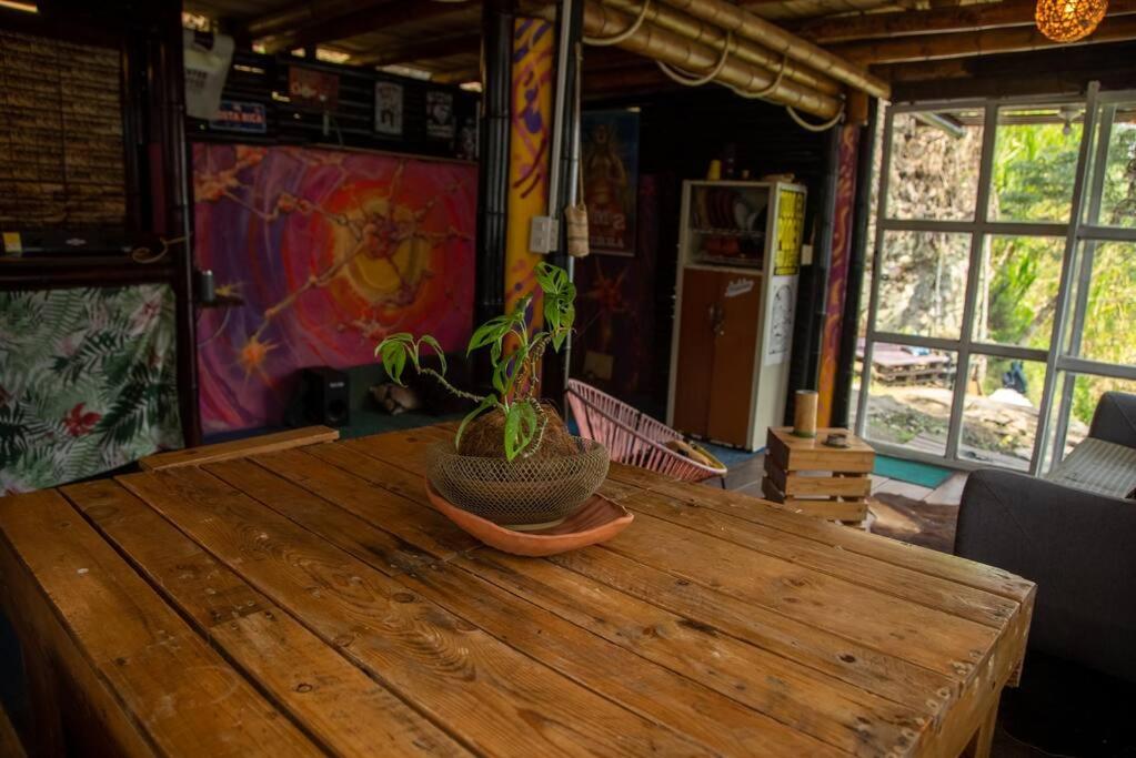 Photo 24