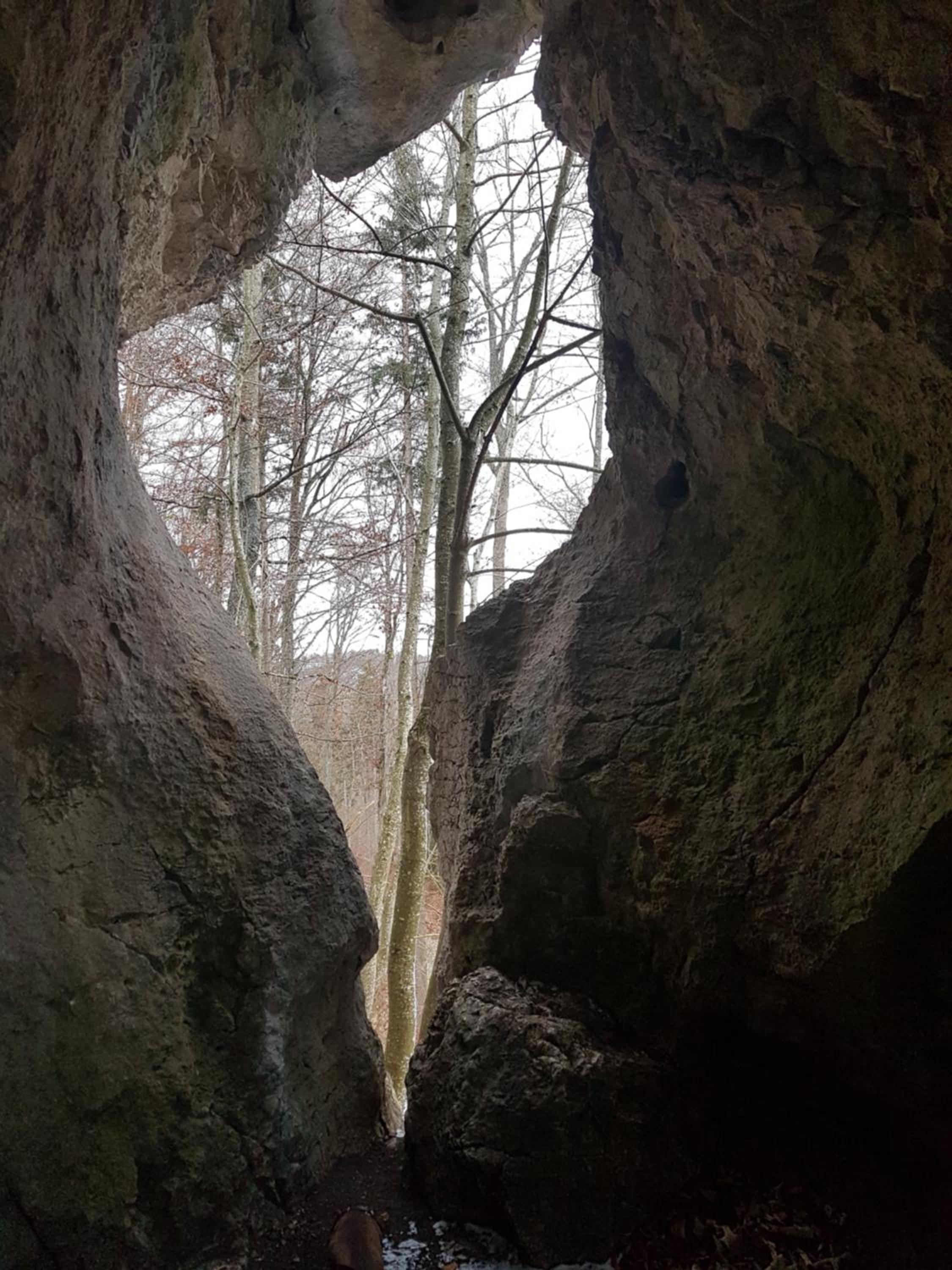 Sonnenhof, Ferienwohnung auf Reitanlage
