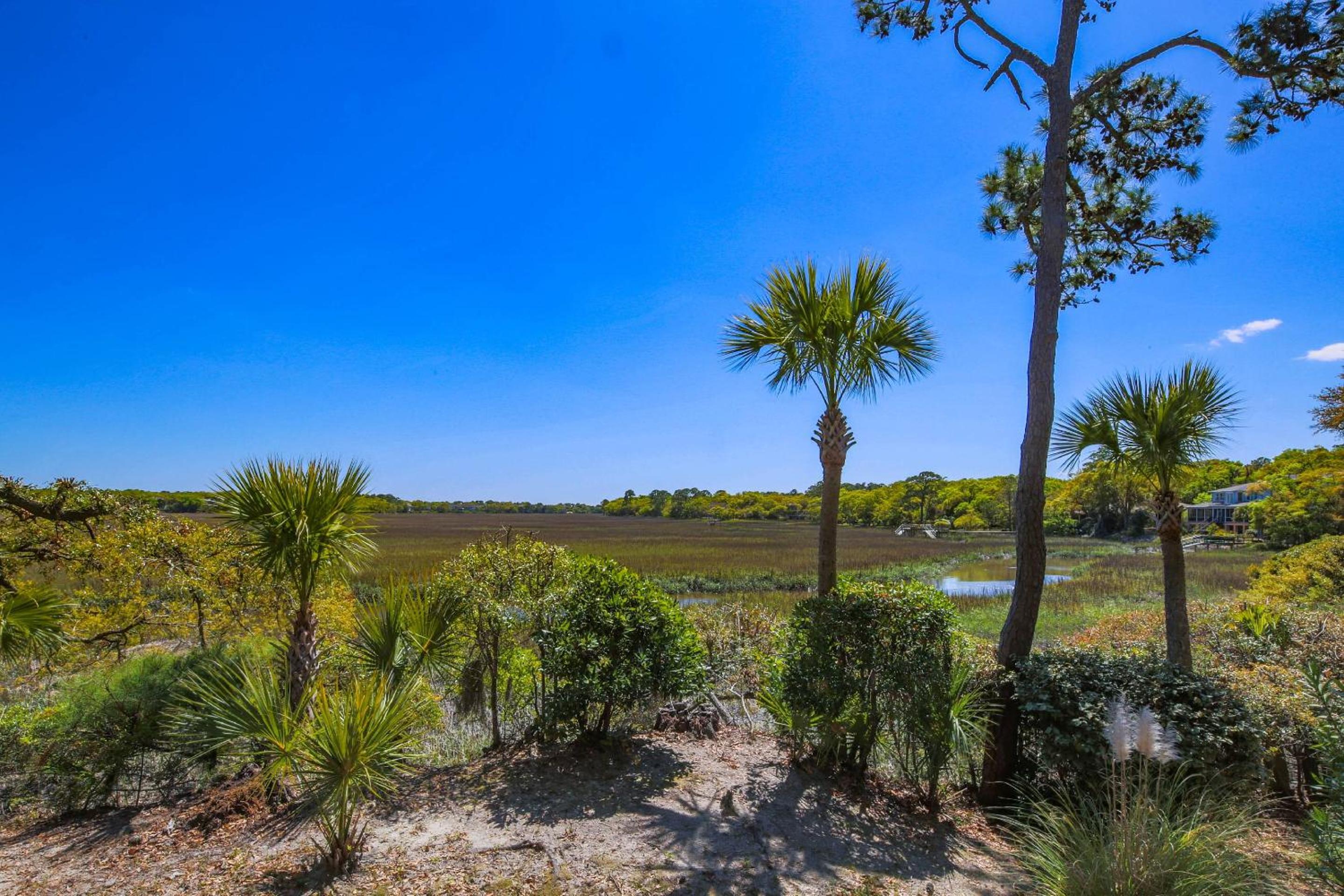 Creek Watch view 4