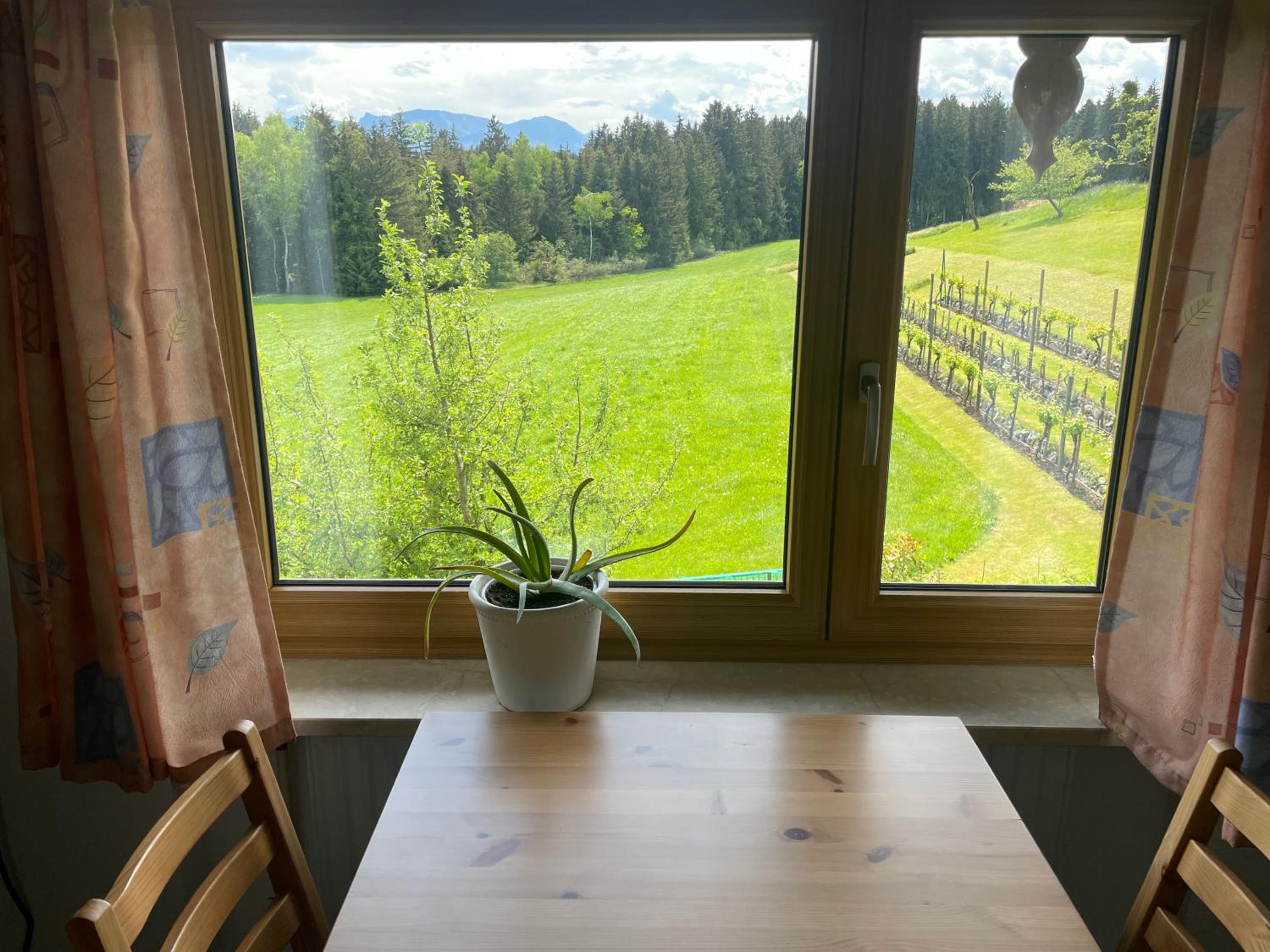 Apartment Am Weinberg