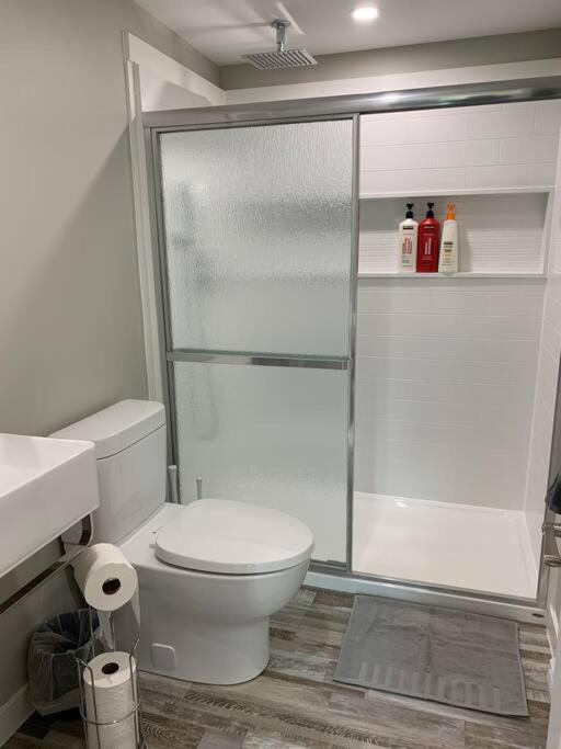 ENTIRE 2 BEDROOM APARTMENT DOWNTOWN - u5