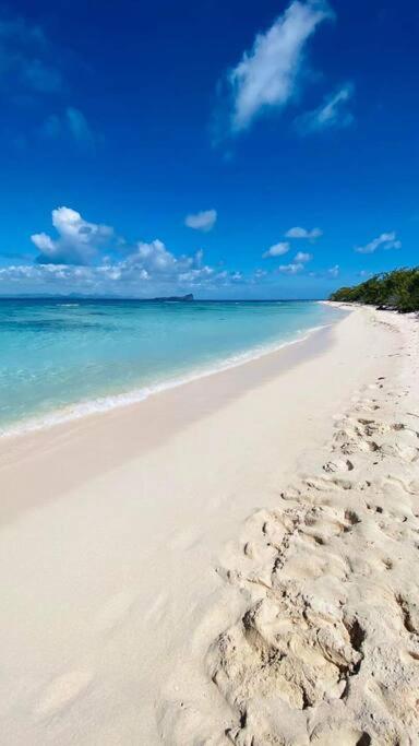 Beach Appartement contemporain