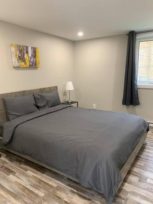 ENTIRE 1 BEDROOM APARTMENT DOWNTOWN - u4