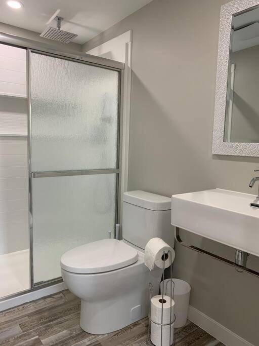 ENTIRE 1 BEDROOM APARTMENT DOWNTOWN - u4