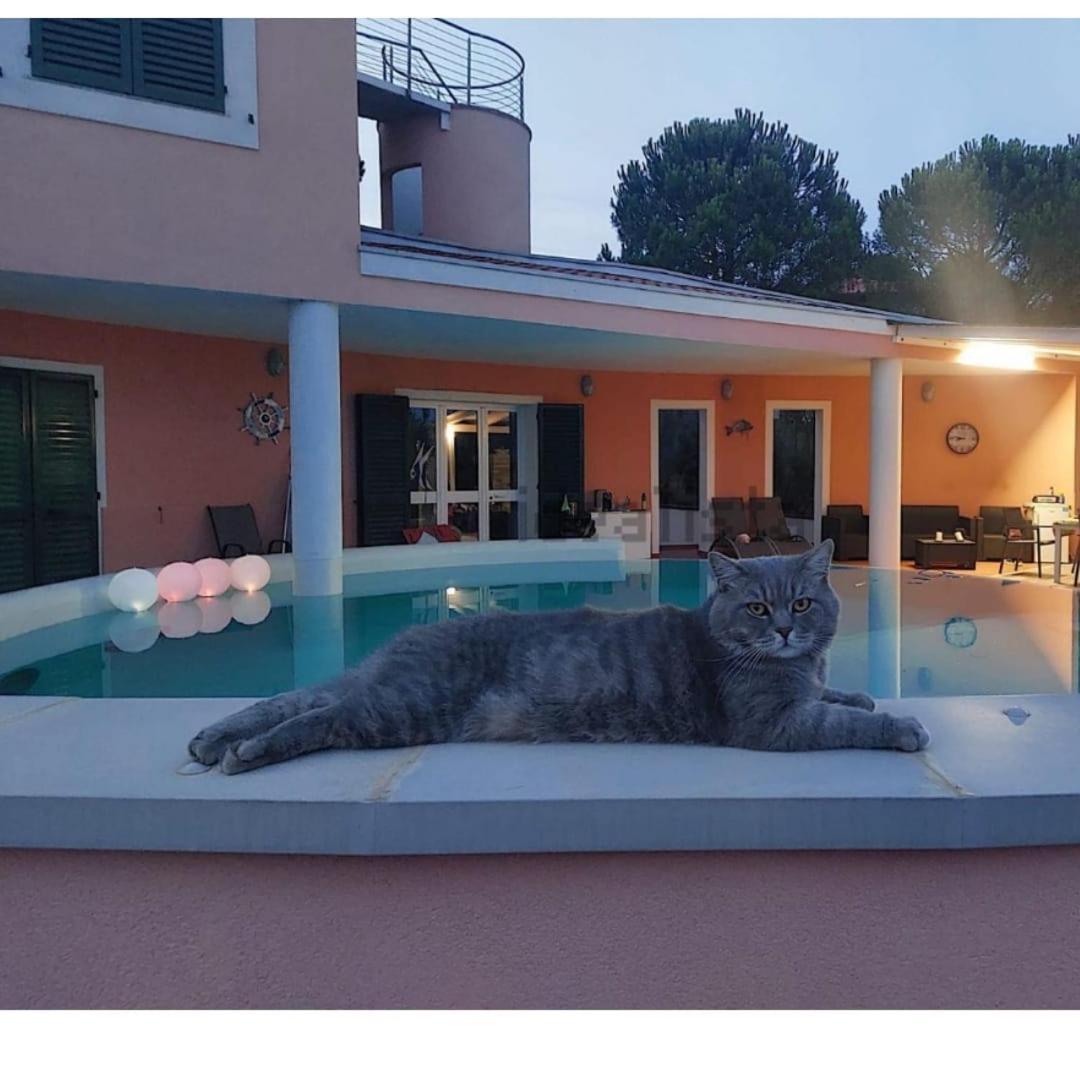 VILLA IRENE view 3