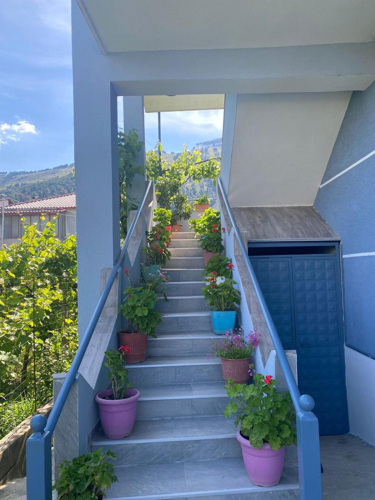 Guest House Zotkaj