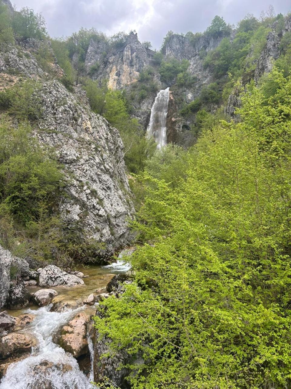 Villas Bašović