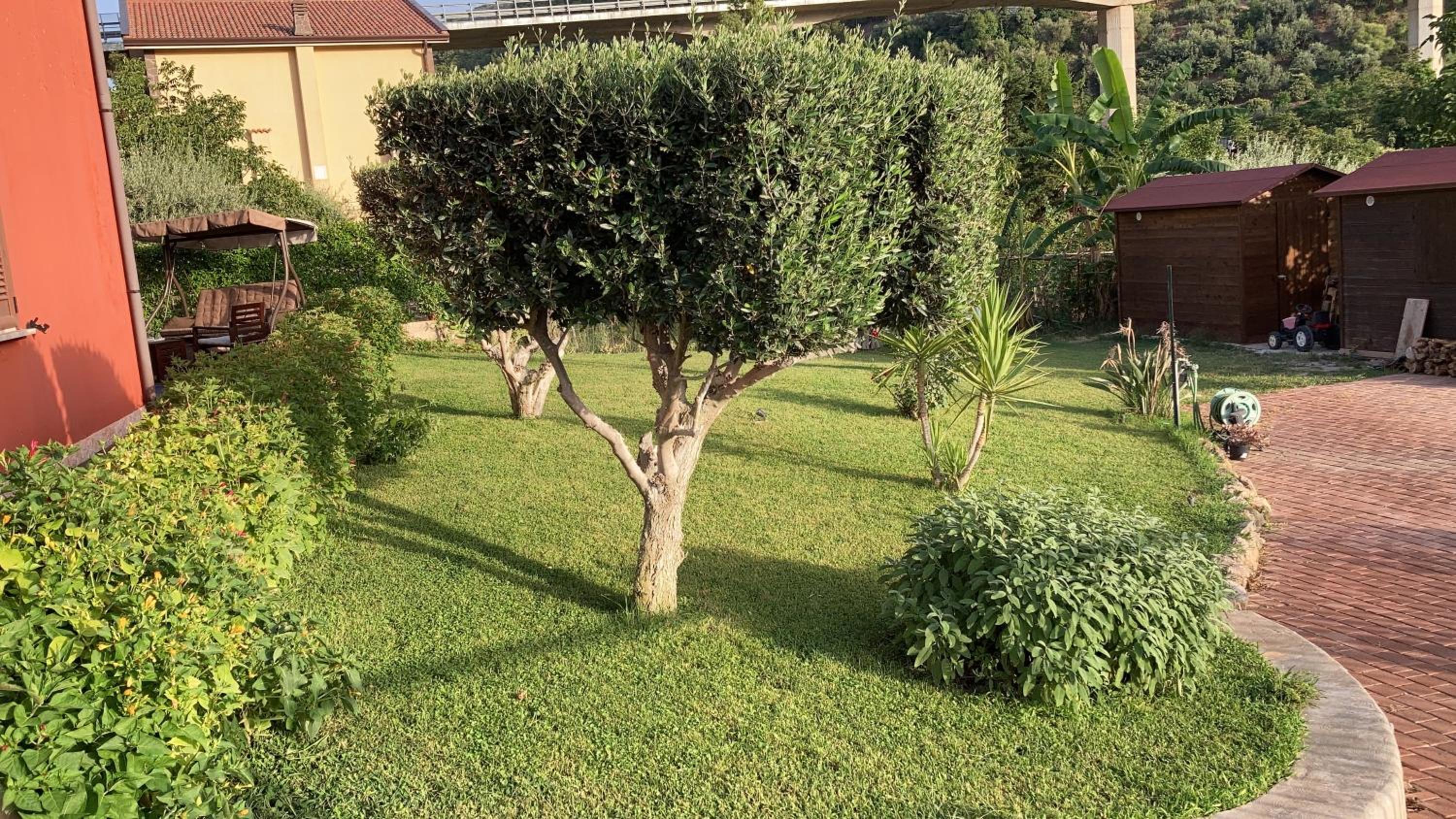 Photo 28