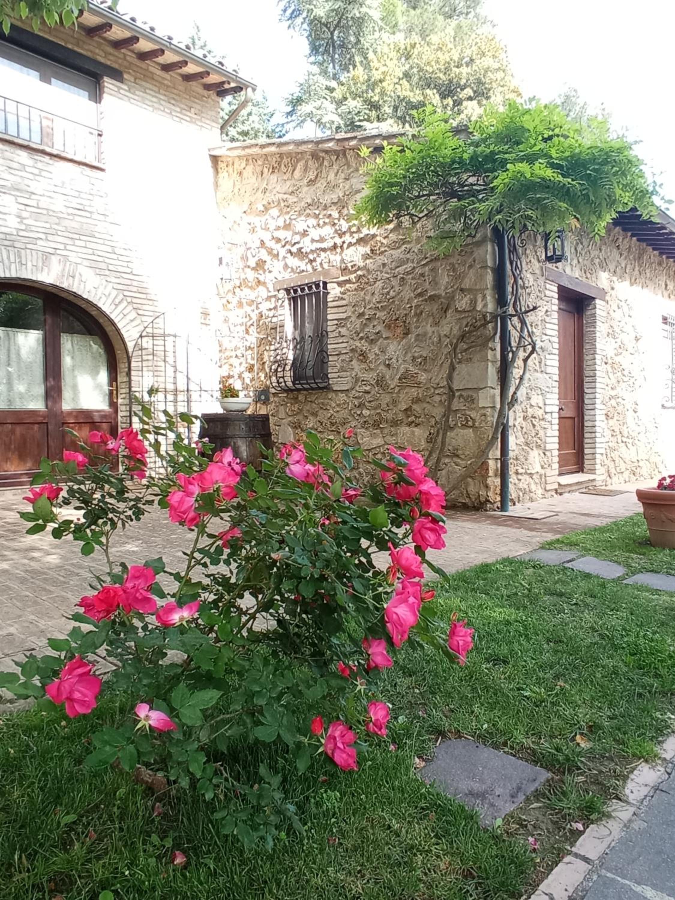 All'Ombra di San Damiano