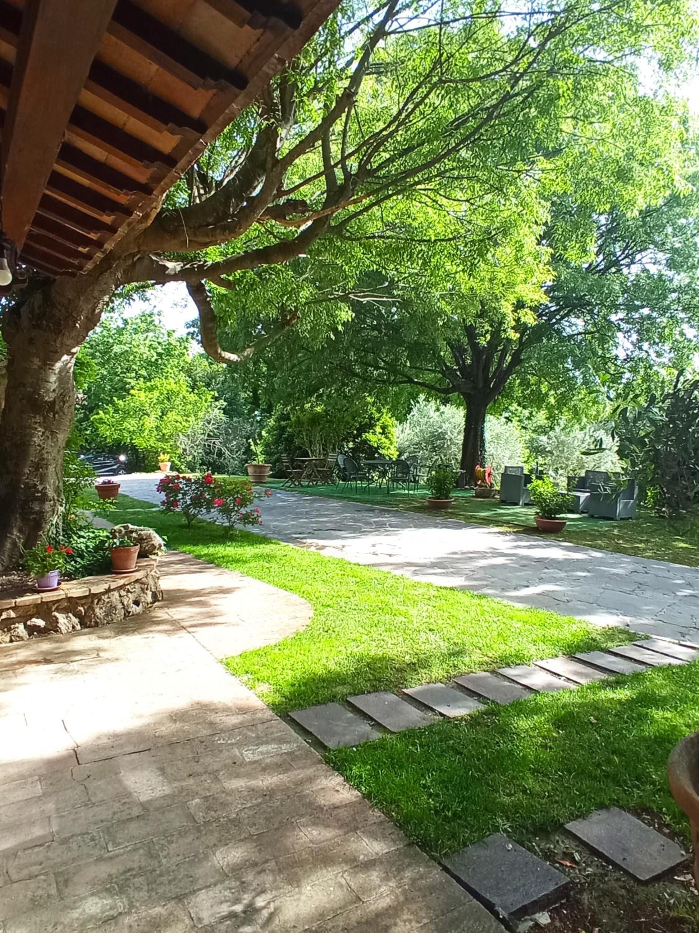 All'Ombra di San Damiano