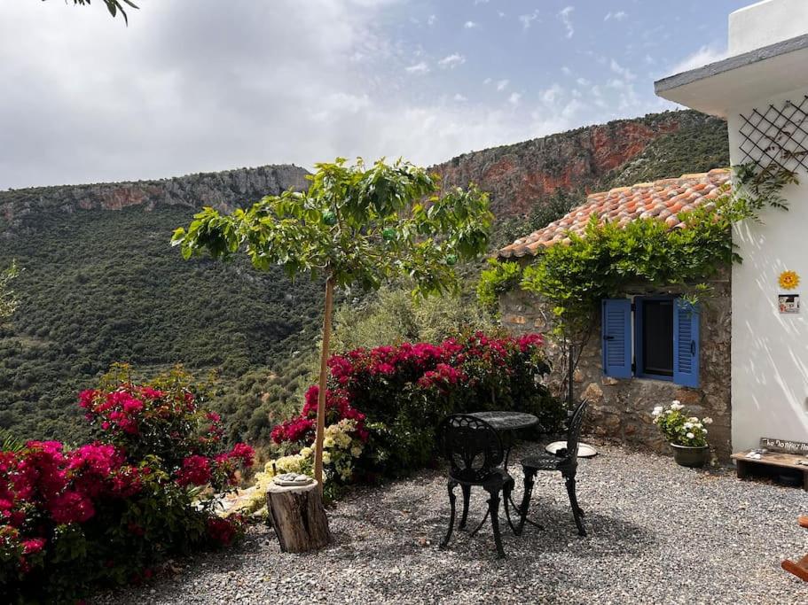 The Donkey House, Pragmatefti view 4
