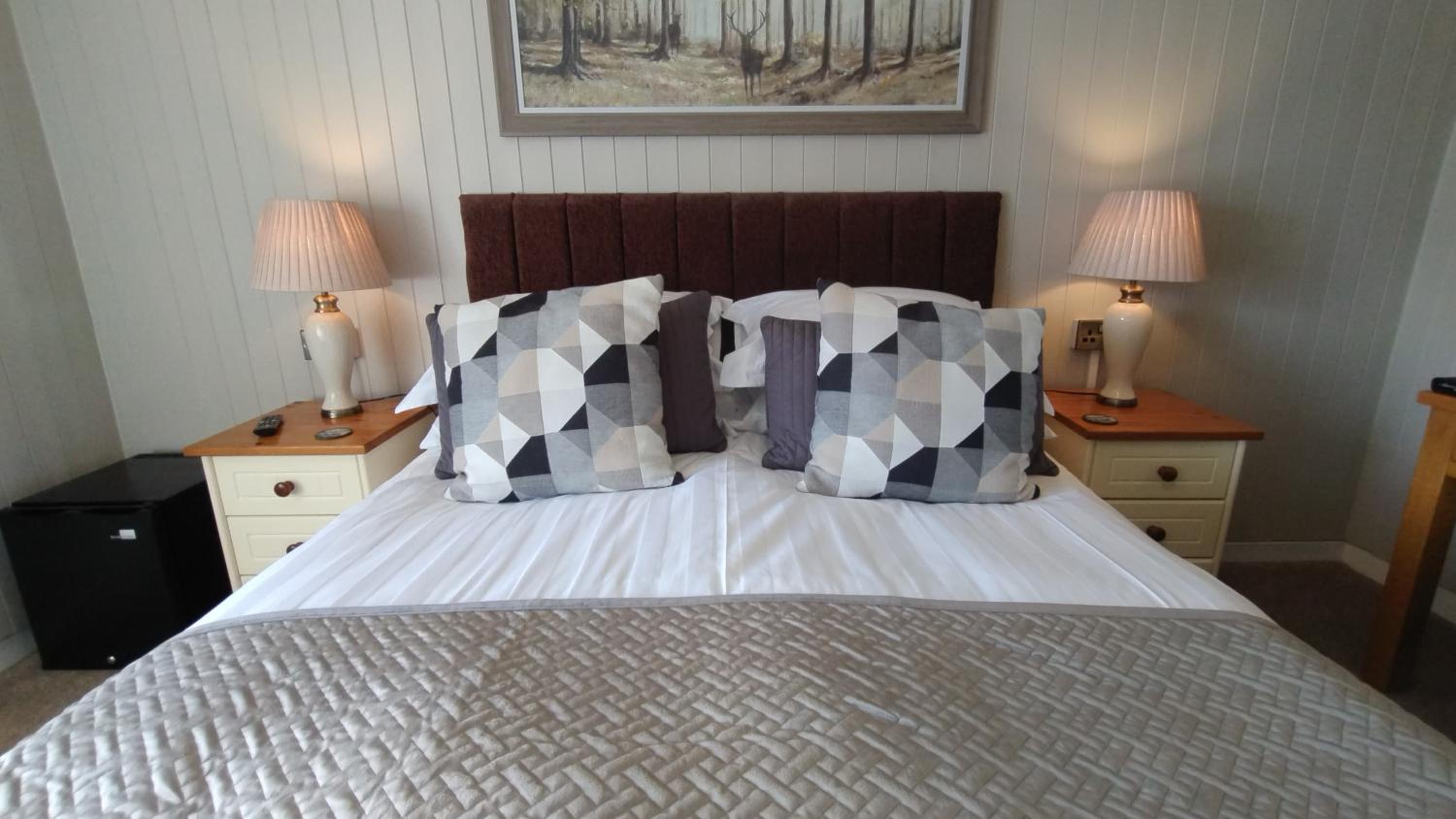 Plas Tan y Graig B&B Guest House Beddgelert view 2