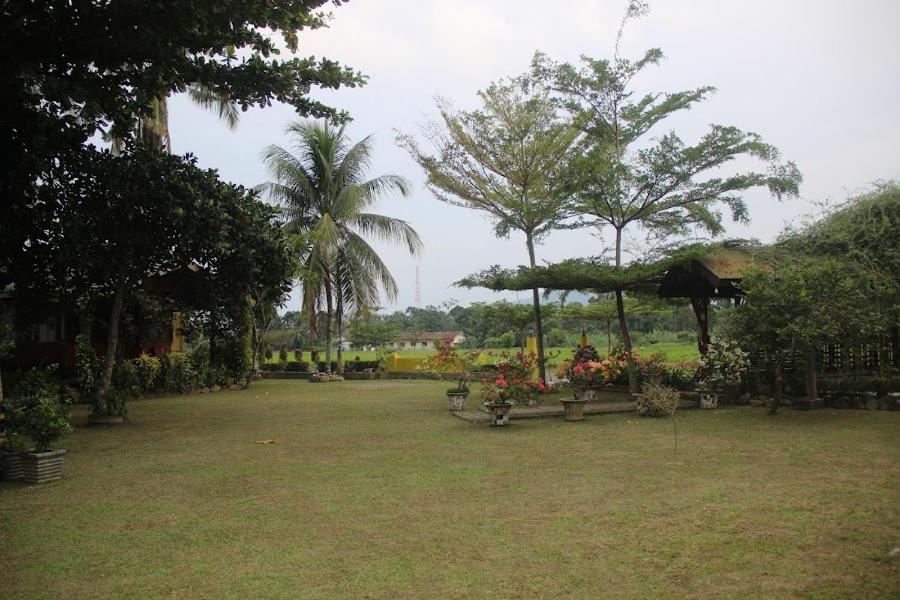 AMBOW Homestay Jungle Trekking & Village Tour view 5
