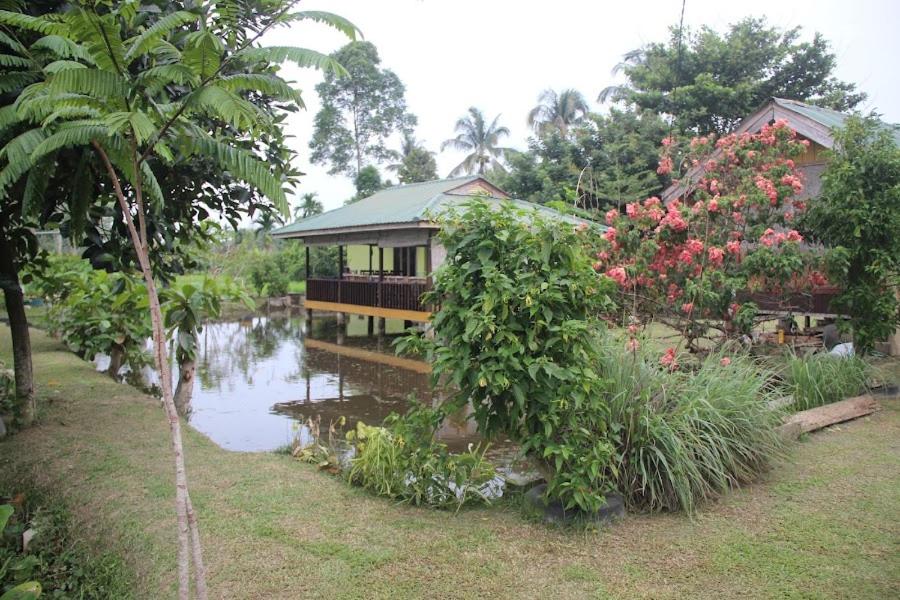 AMBOW Homestay Jungle Trekking & Village Tour view 4
