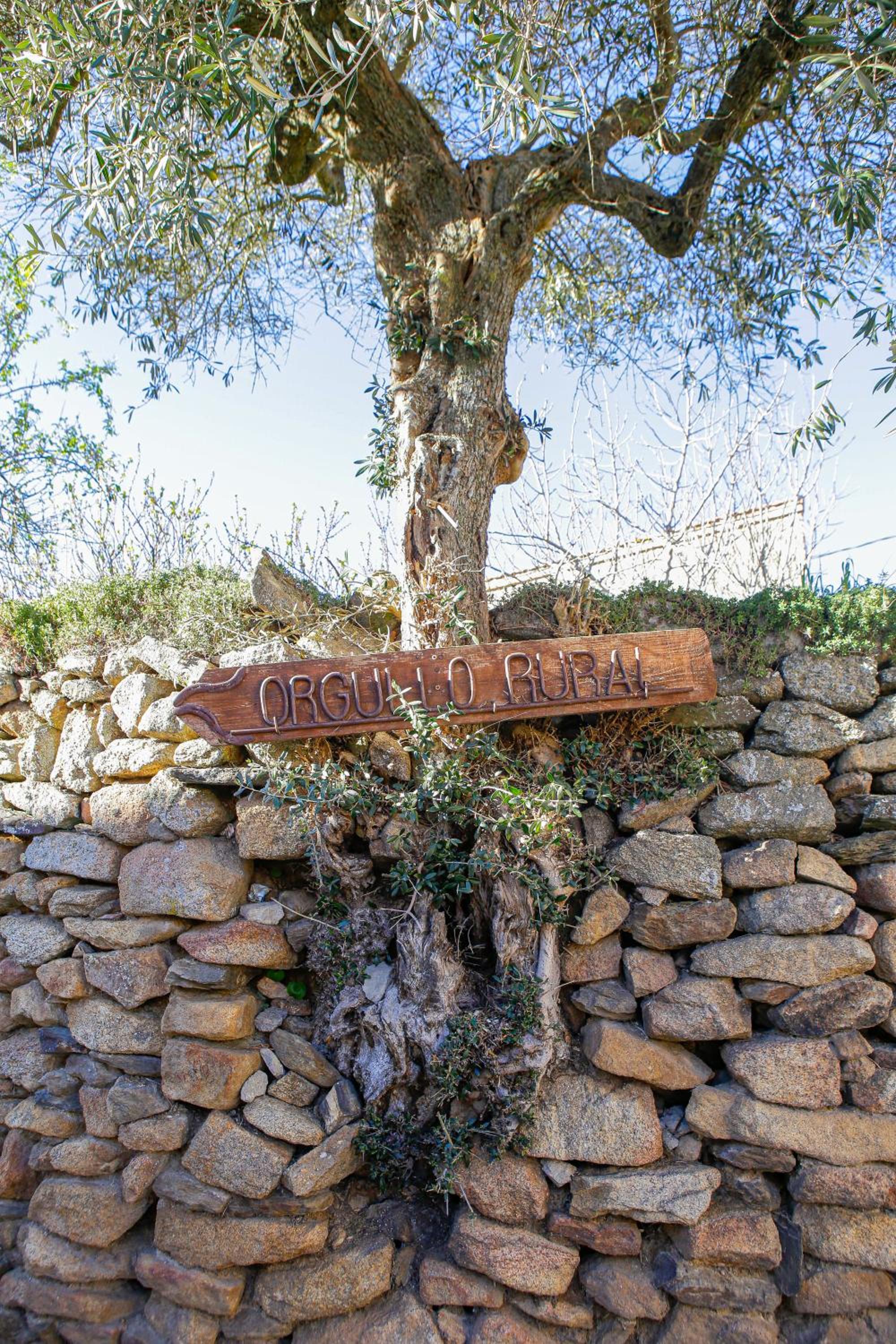 Casa Rural Therma Agreste