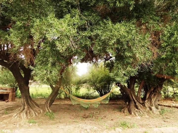 El Paraiso