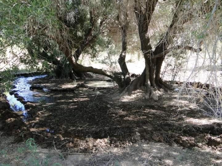 El Paraiso