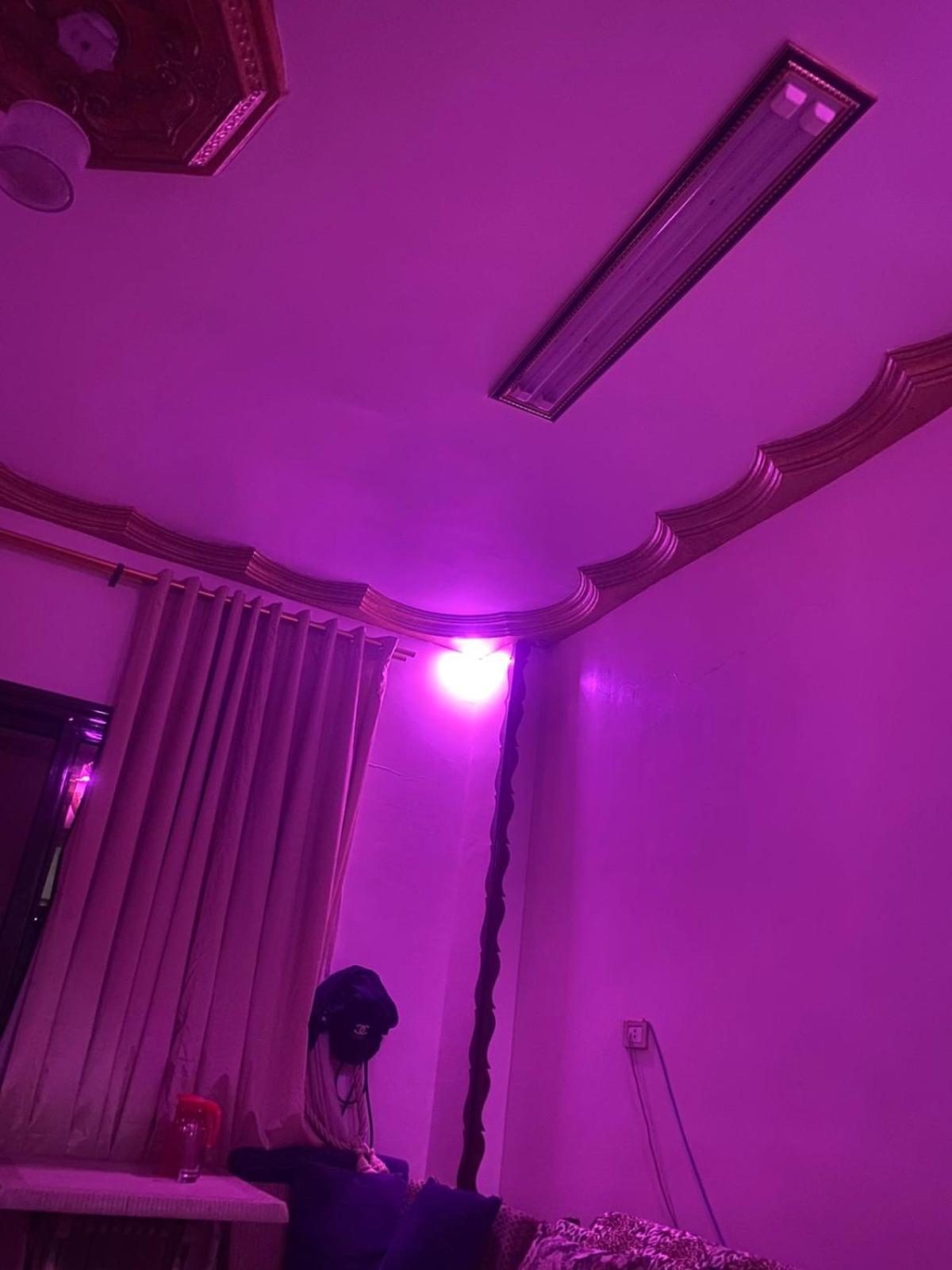 Cozy Apartment in Asyut