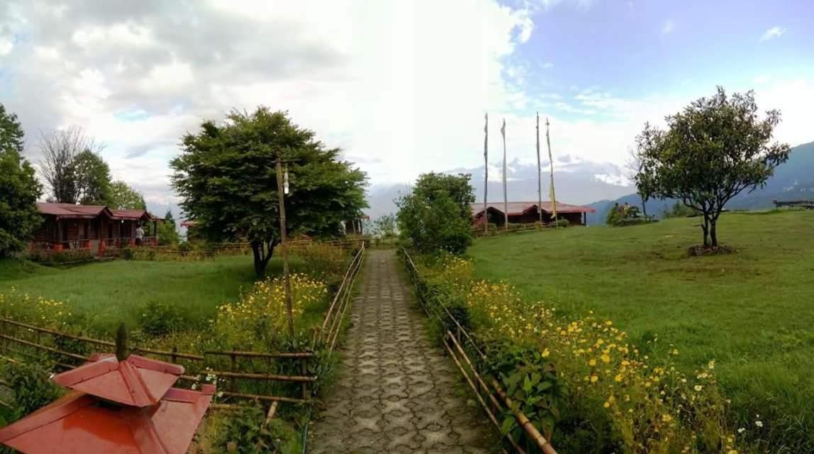 Photo 21