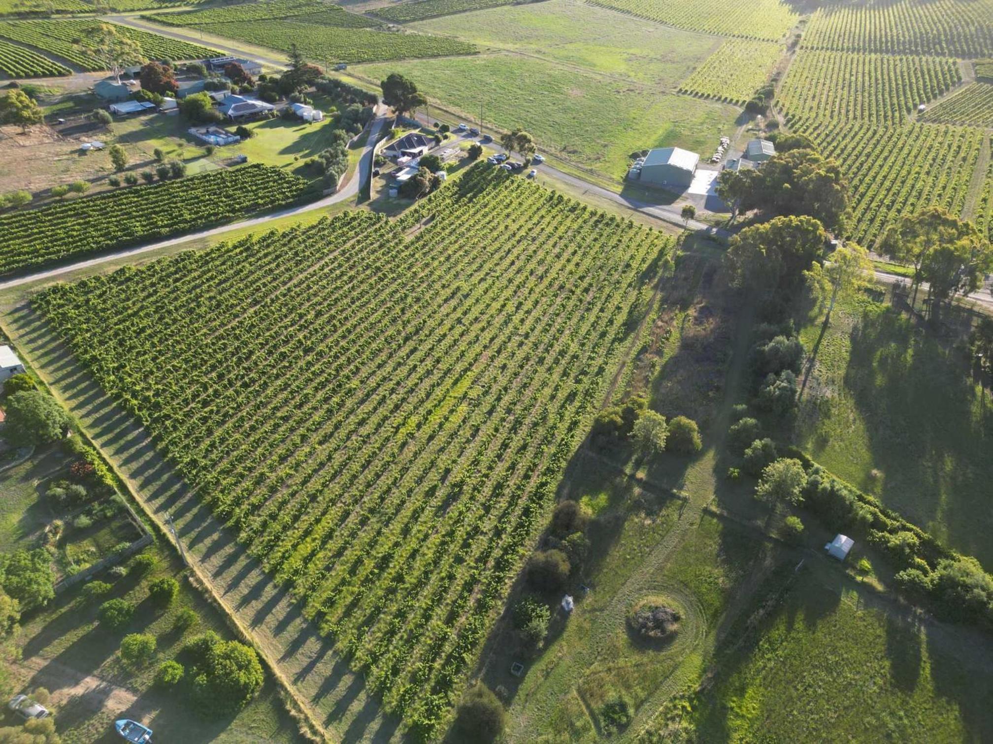 Mclaren Vale Vineyard Homestead