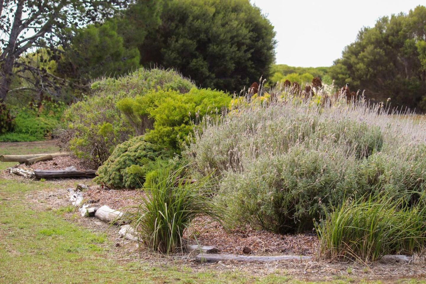 The Swans Cottage - Walking Path To Bird Blind