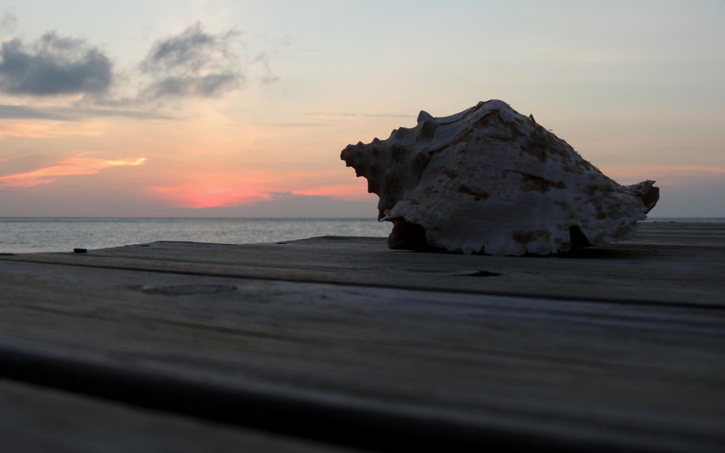 Guanaja Caribbean Cottages
