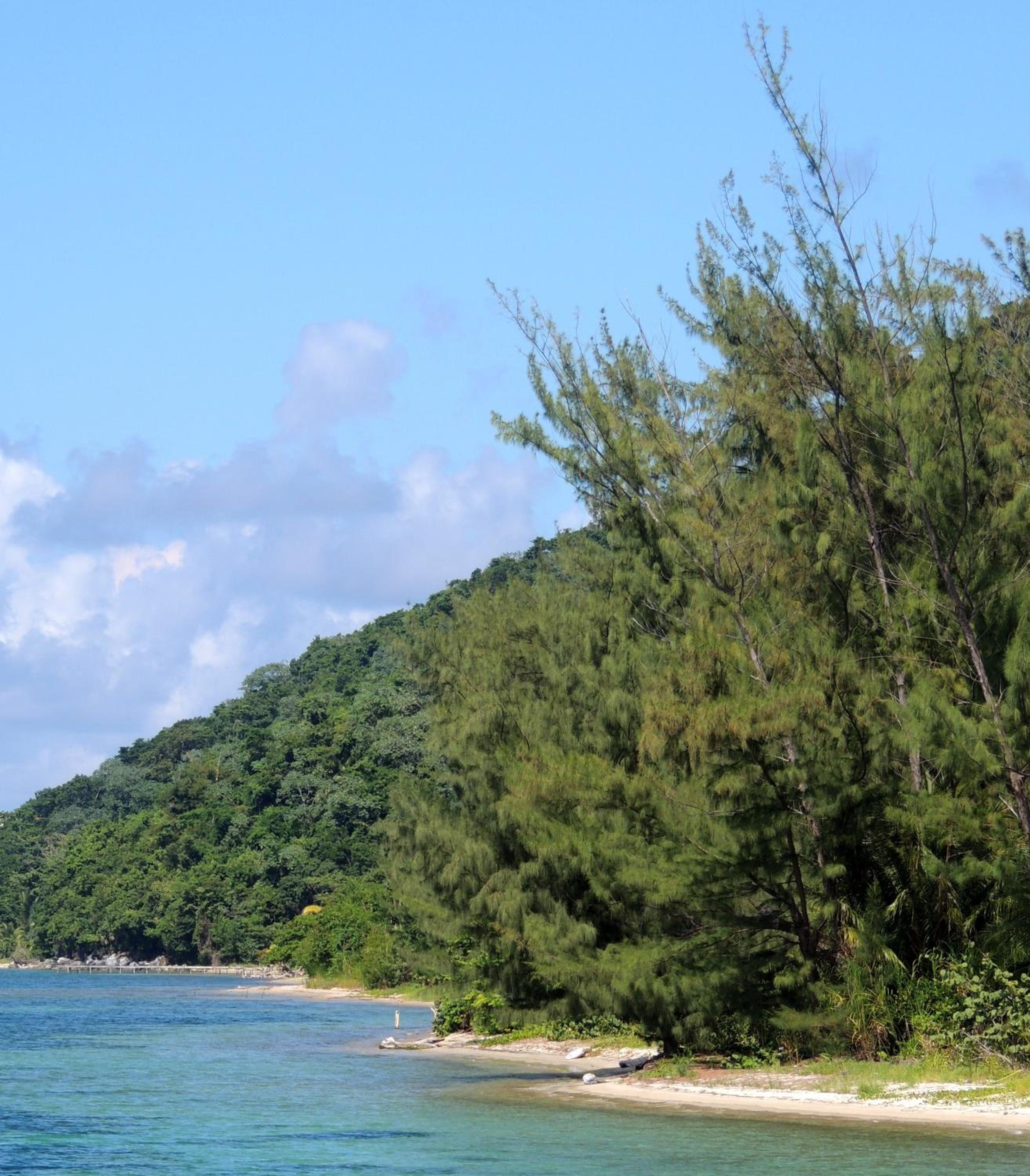 Guanaja Caribbean Cottages
