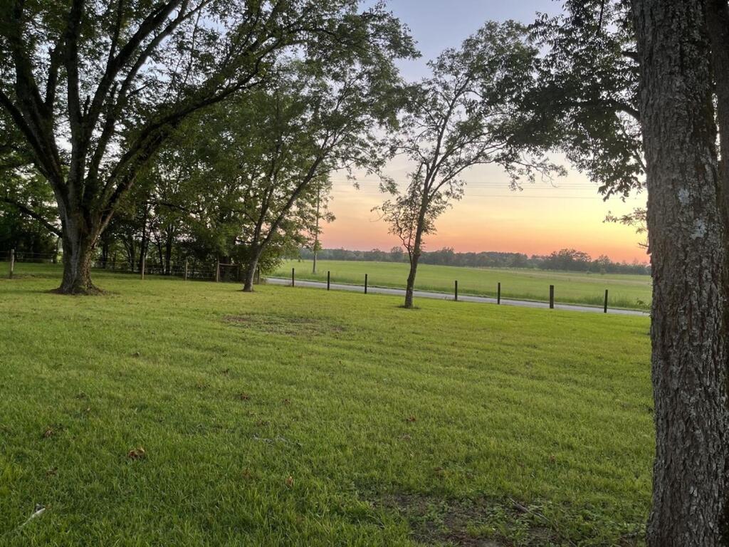 Relaxing Farm and Cattle Experience close to Casino with Golf Dinning Restaurants view 4