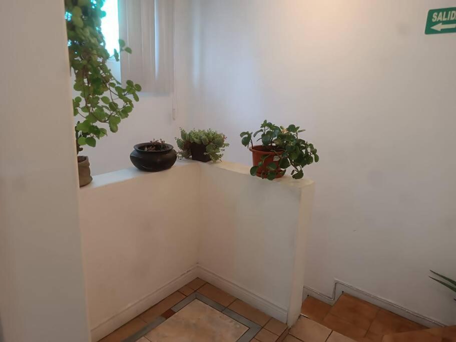 Habitación La Carolina