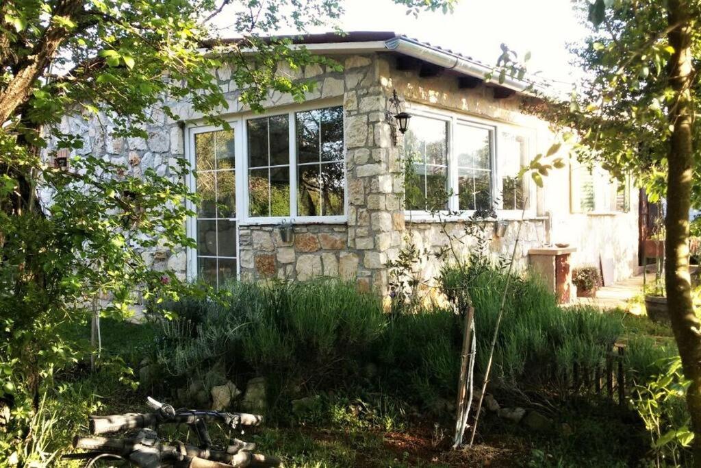 Photo 6
