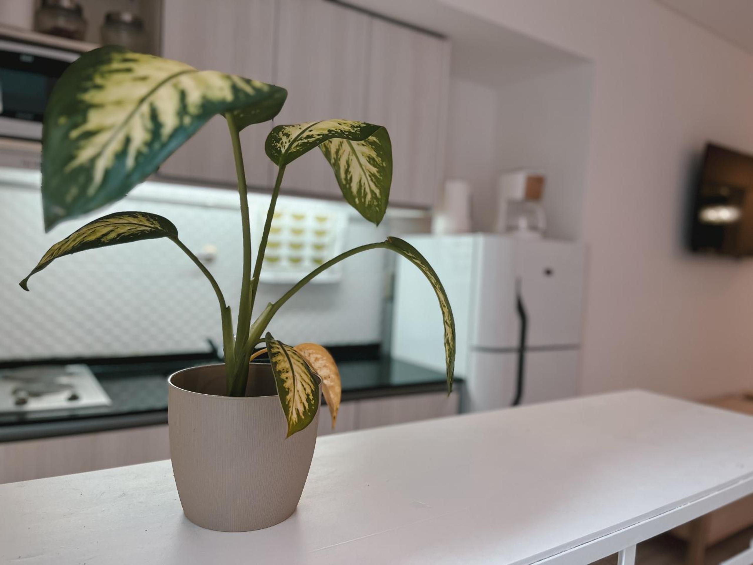 RentUp - Monoambiente a estrenar con patio en Palermo
