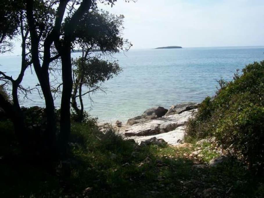 Photo 47