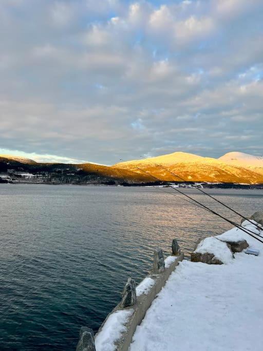 Fjord-Holiday-Lodge mit atemberaubendem Panorama