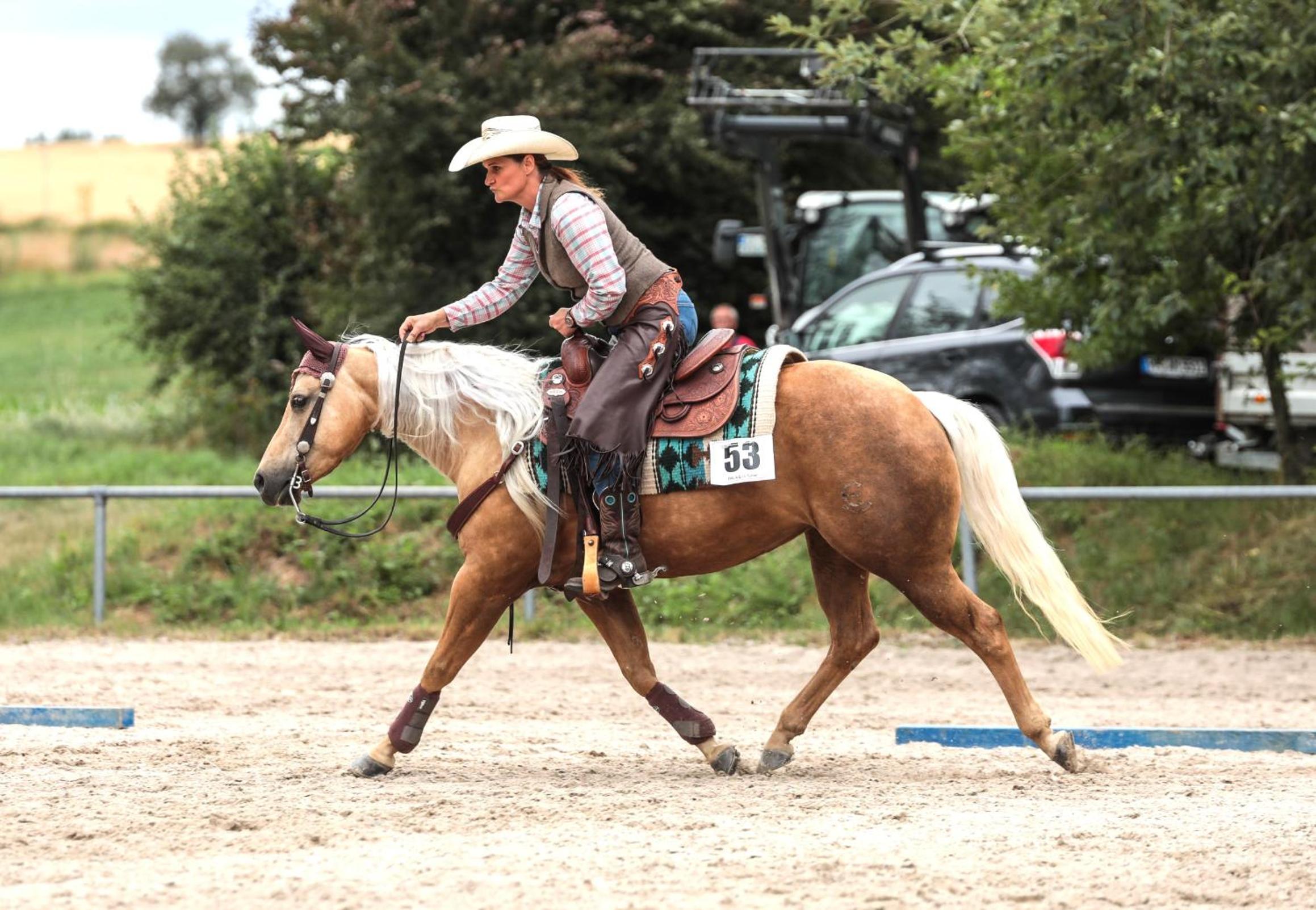 Sonnenhof, Ferienwohnung auf Reitanlage