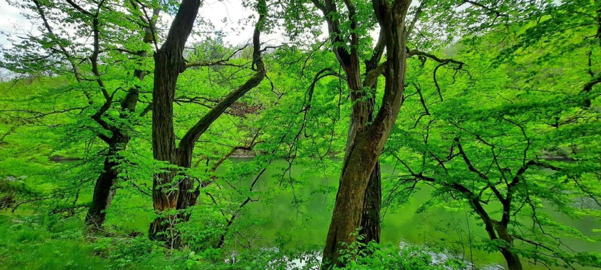 Mit Liebe ausgestattetes Haus im Naturpark Kellerwald-Edersee