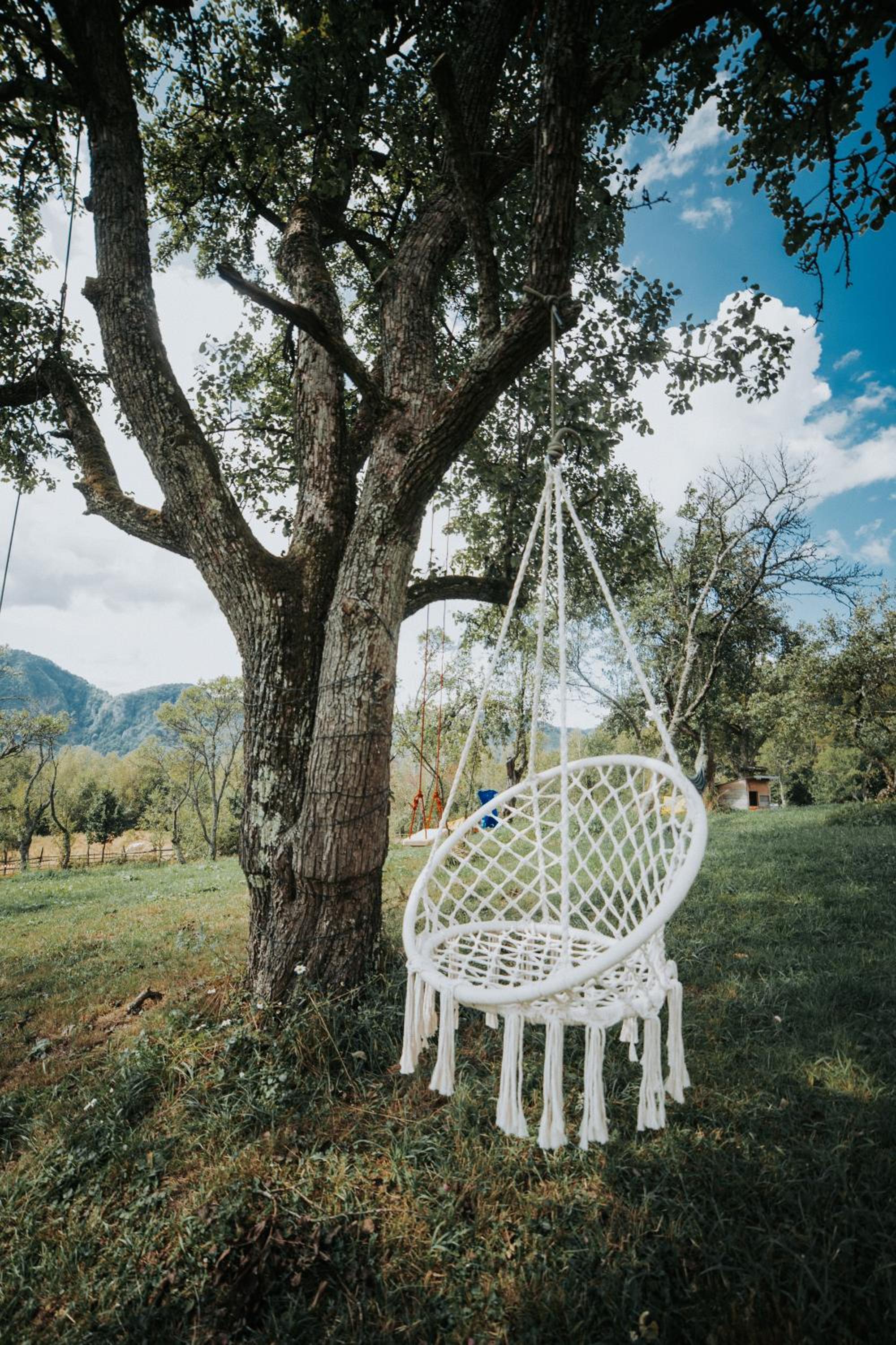 Cioclovina Tribe