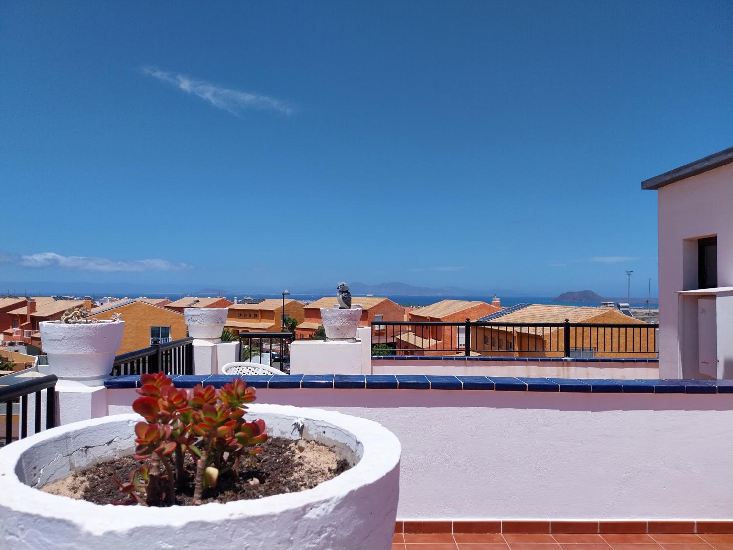 Estrella Marina by Sea You There Fuerteventura