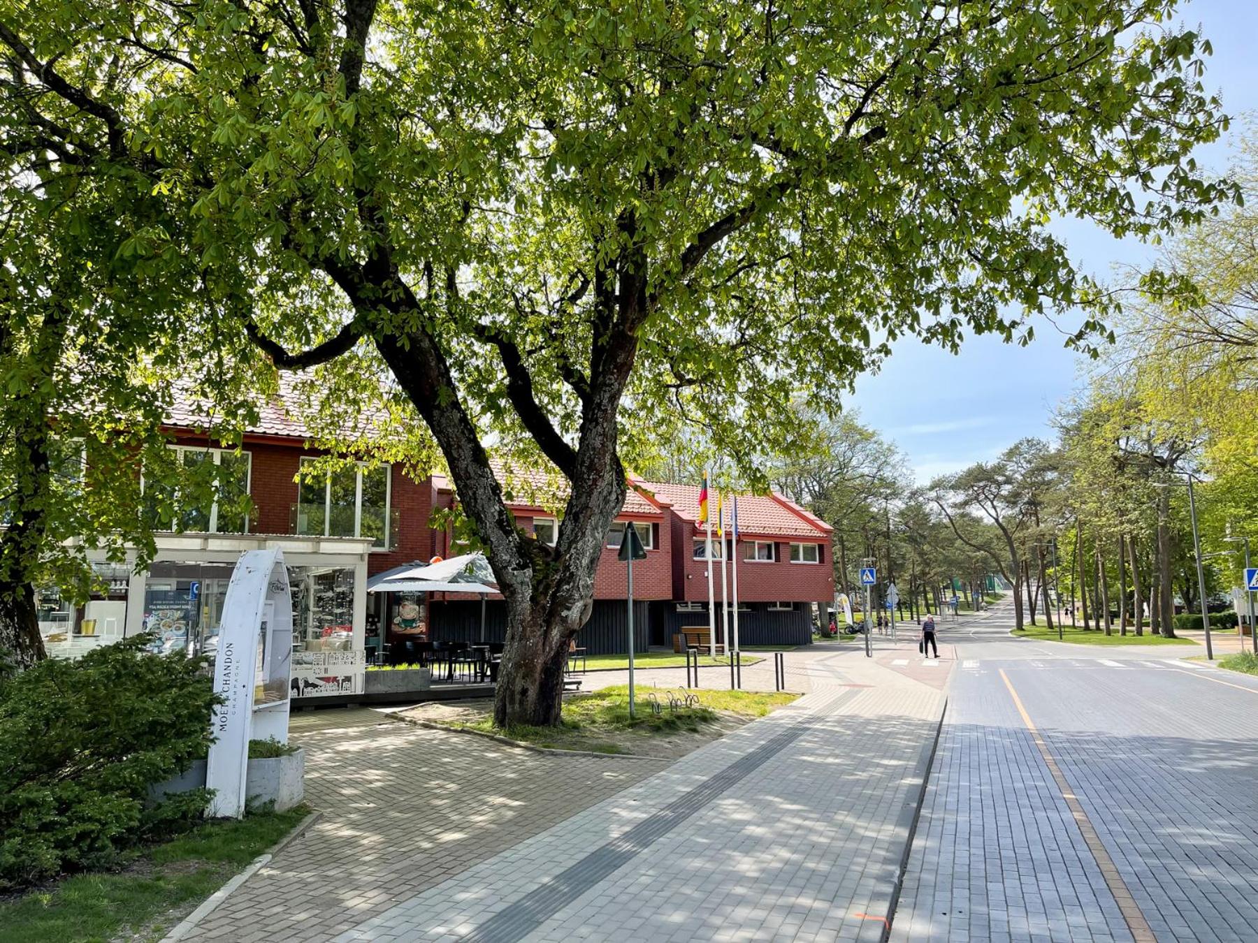 theNida
