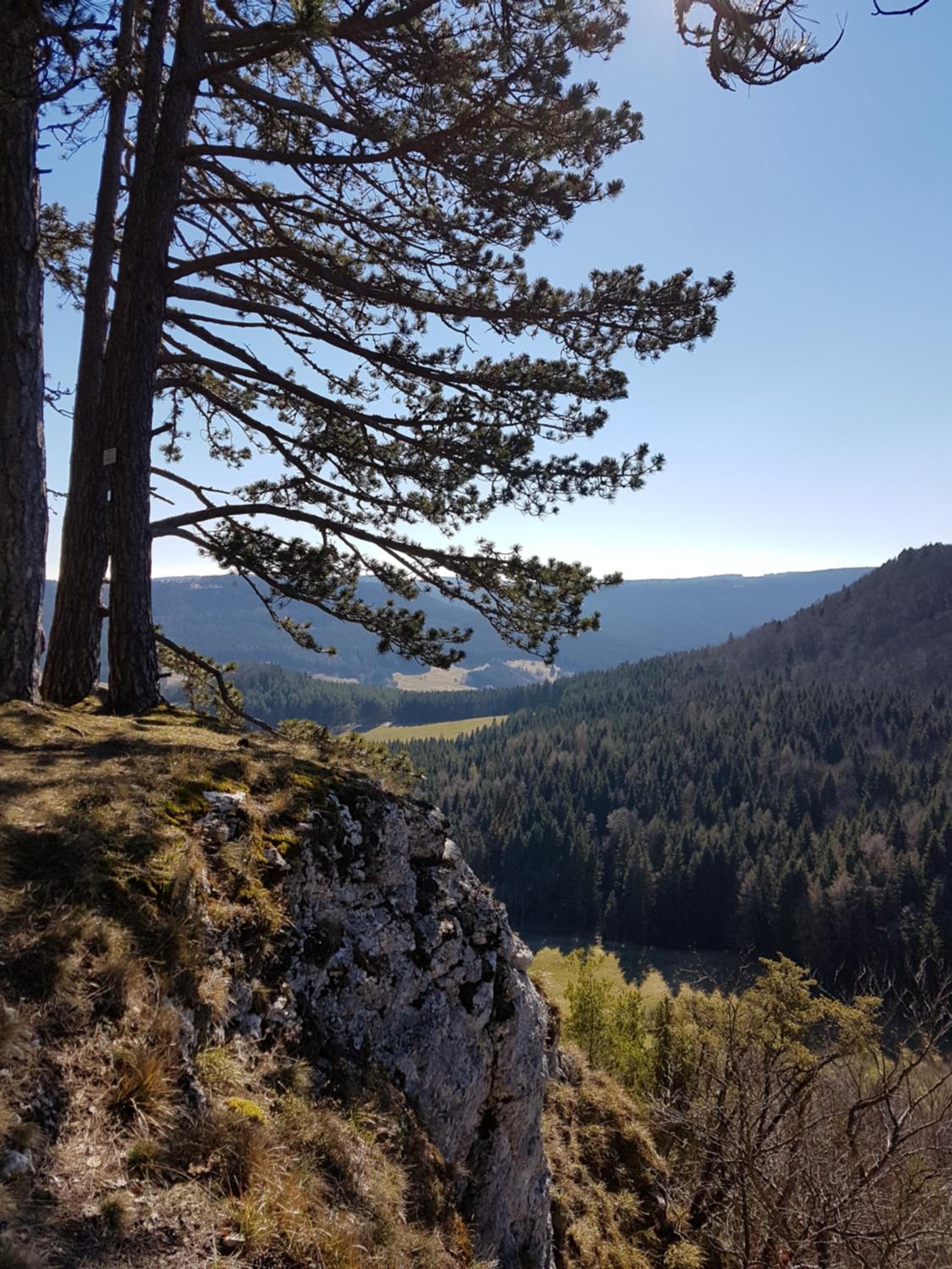 Sonnenhof, Ferienwohnung auf Reitanlage