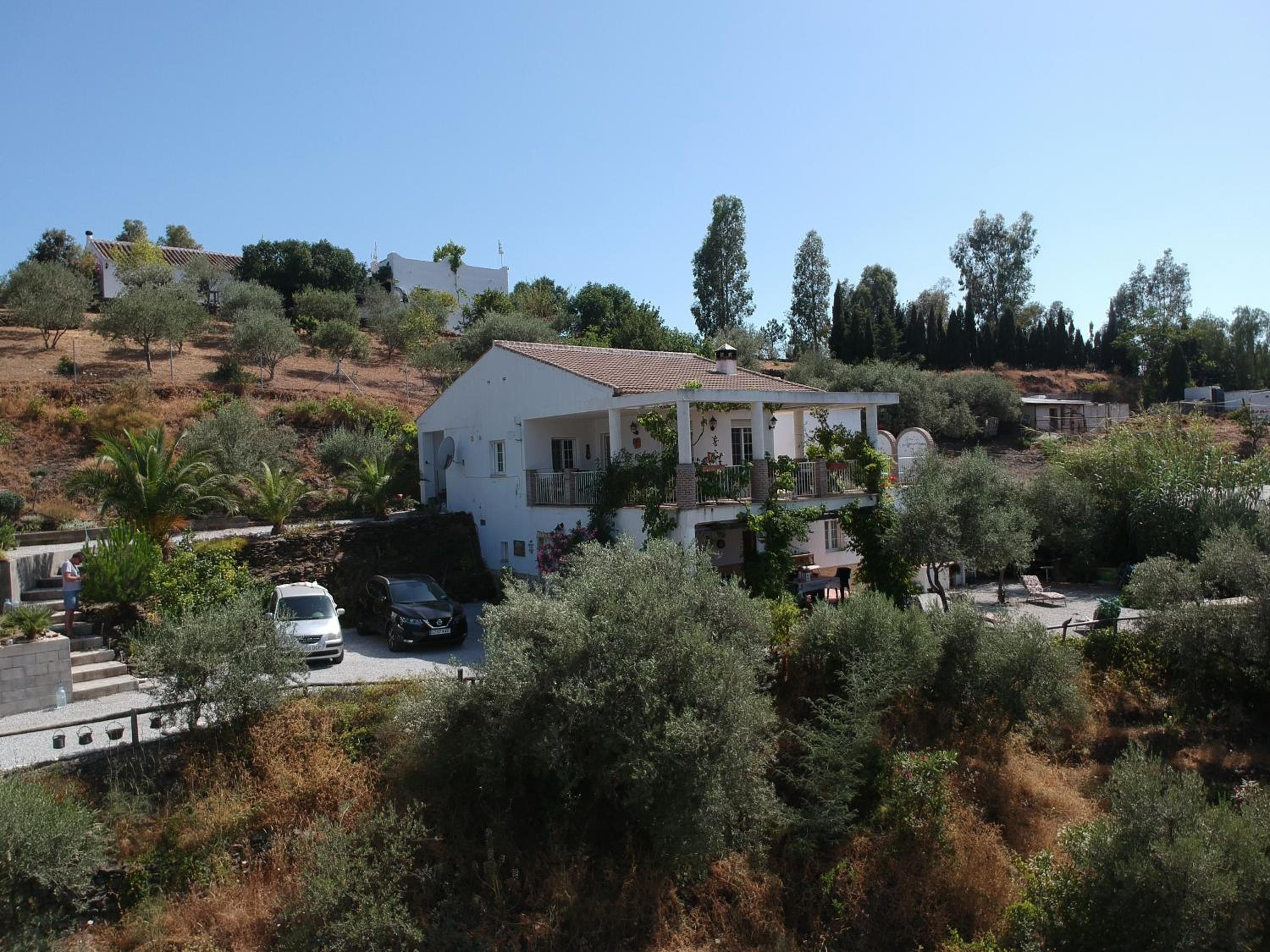 Photo 23