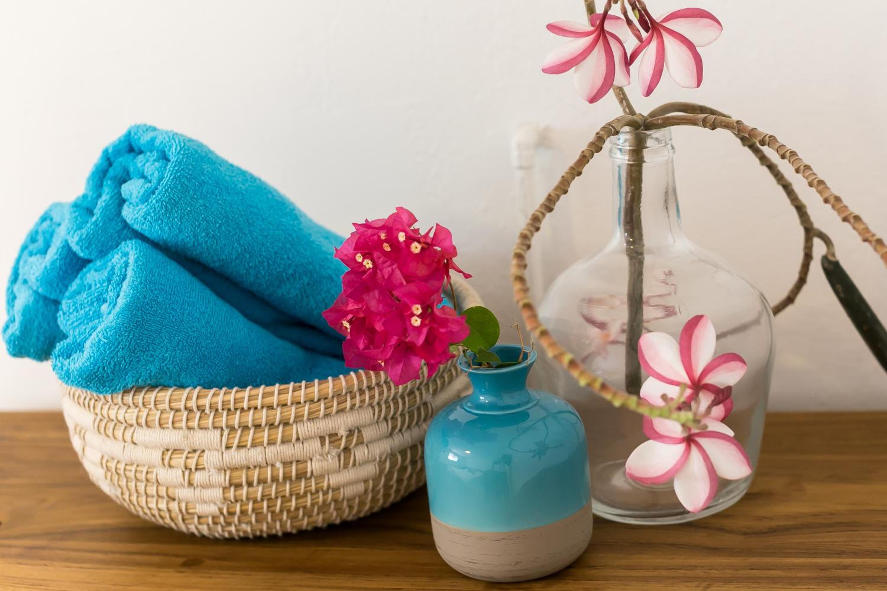 Aruba Palms Escape Suites