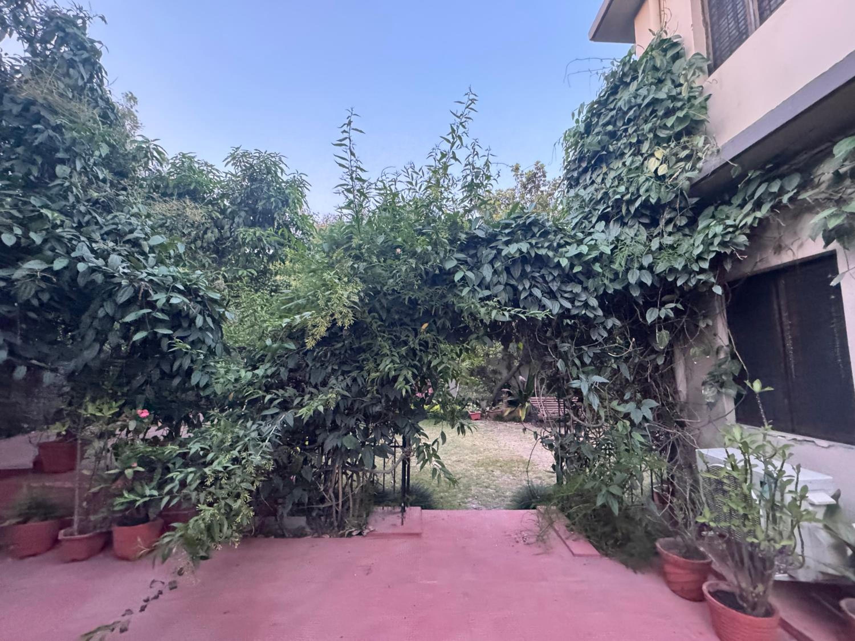 S.J. Homestay view 2