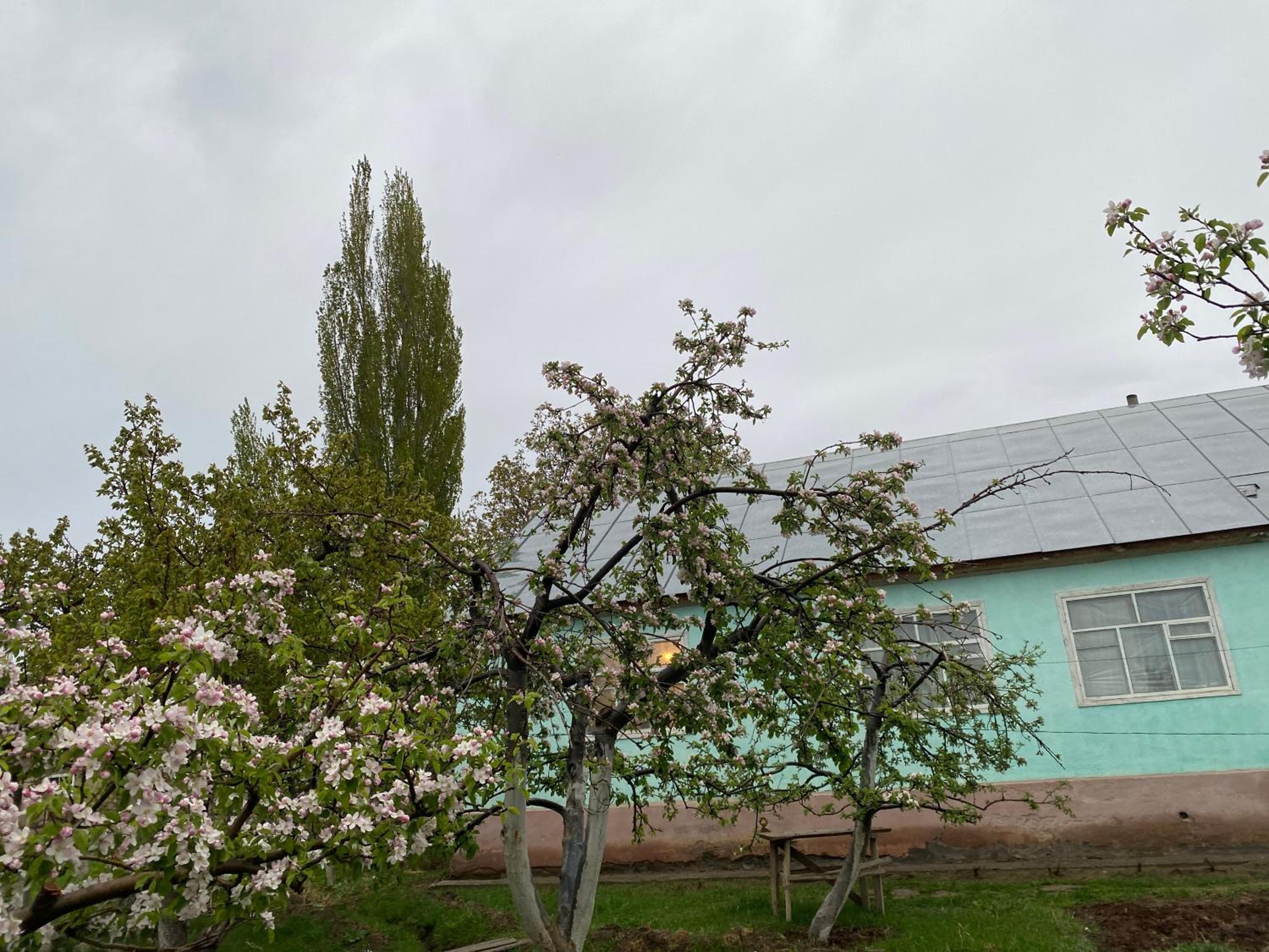 Saruu Guest House view 3